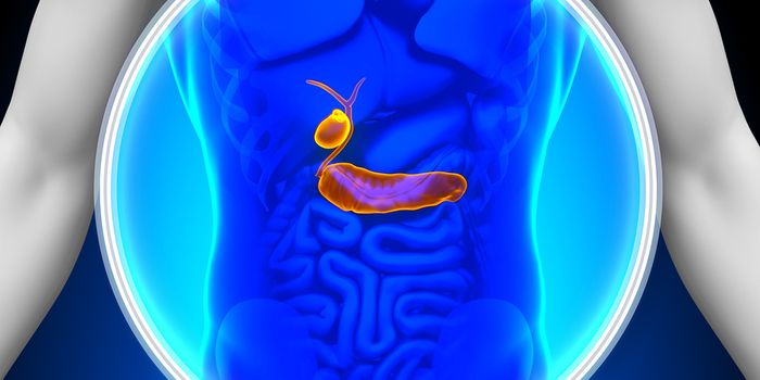 Macrophages Break Down Protective Barrier of Pancreatic Tumors