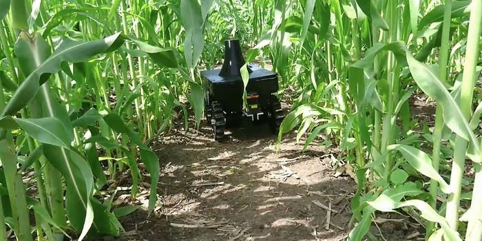 How Technology can Help Feed the World