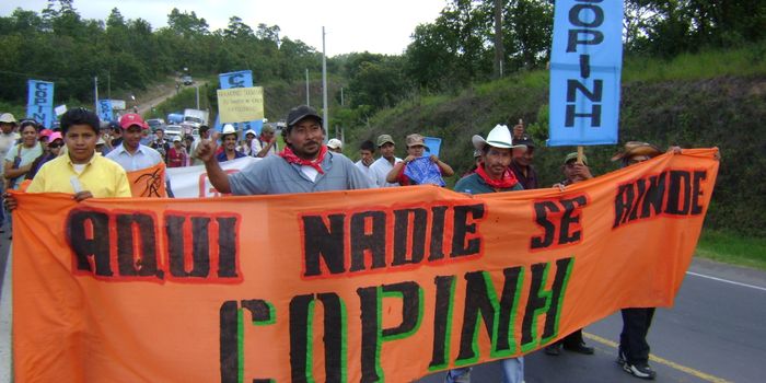 Another environmentalist murdered