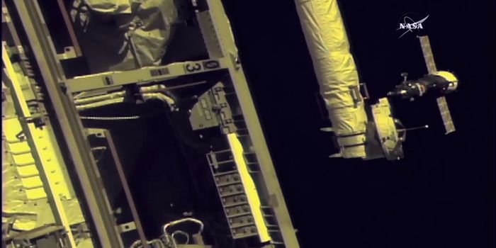 Three New Astronauts Dock at the International Space Station