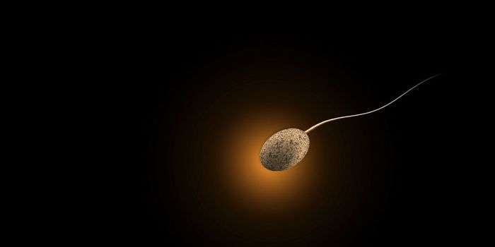 How Does Cannabis Affect Male Fertility?