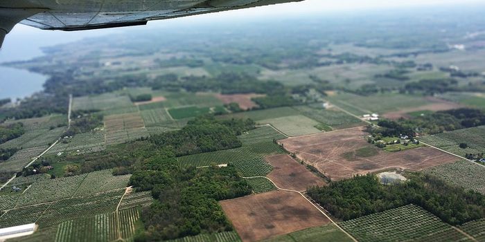 Changing the way we grow our food