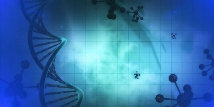 A Better Gene Therapy Delivery System for Treating Muscle Diseases