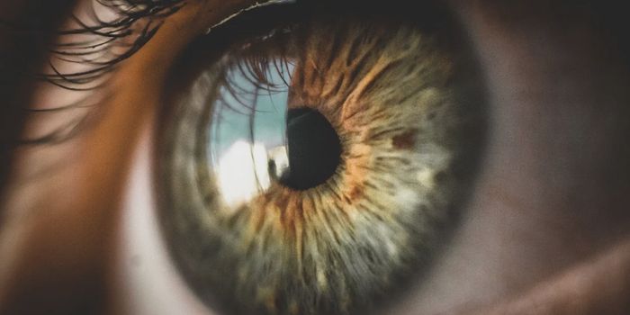 50 New Eye Color Genes Are Identified