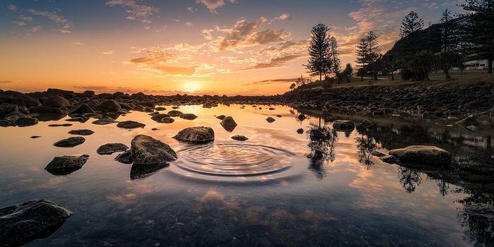 Harmful Algal Blooms