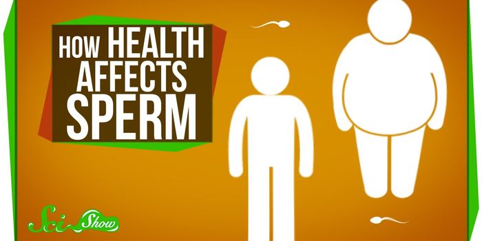 Sperm Carry Obesity Epigenetic Marks