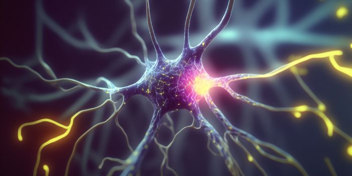 Overcome the Challenges of Cerebral Organoid Research