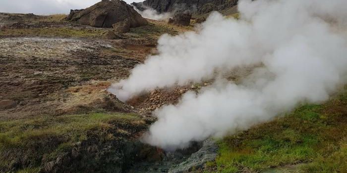 In a Warming World, Dormant Soil Microbes are Reactivated