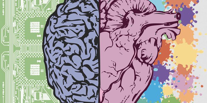 How Heart Problems May Lead to Memory Deficits