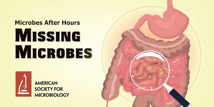 Is Microbiome Disruption Causing Disease Epidemics?