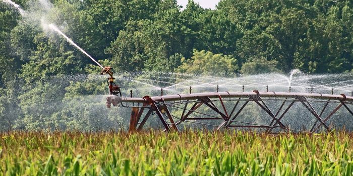 Agriculture Subsidies Should Prioritize Water Conservation