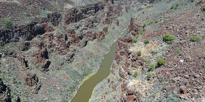 The poop crisis on the Mexican border