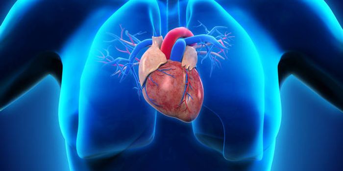 Women More Likely Than Men to Die in the First Year After A Heart Attack