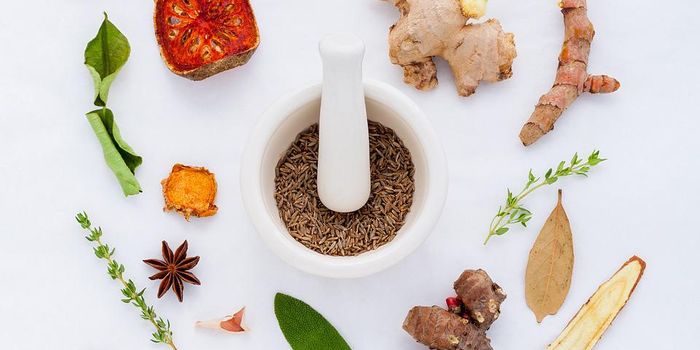 Traditional Indian Medicine Helps Treat and Manage Type 2 Diabetes