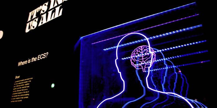 Researchers Use Silicon to Record Electrical Signals Between Neurons