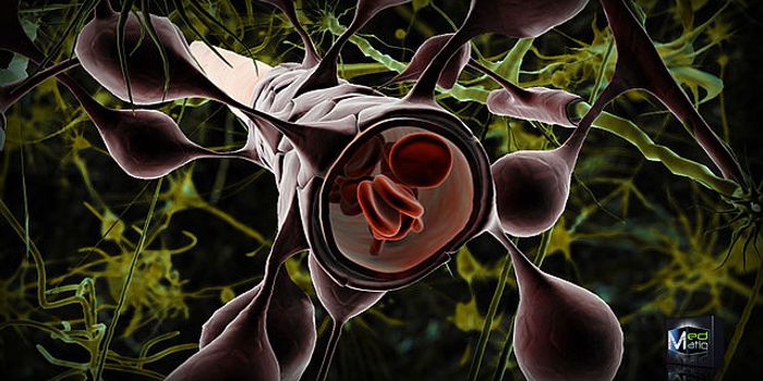 Getting Directly to the Brain