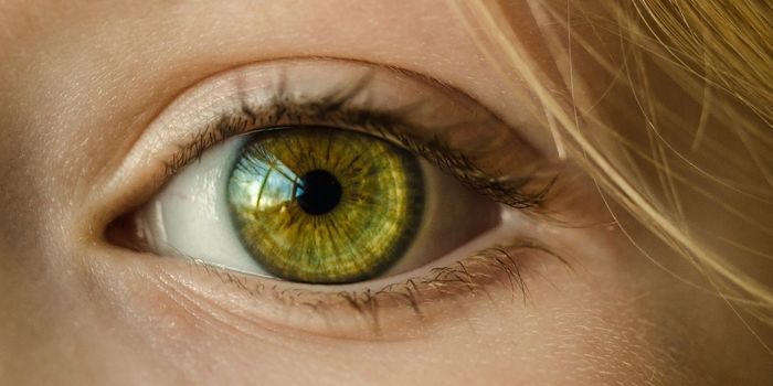 Researchers Find Smoking Cannabis Impairs Vision