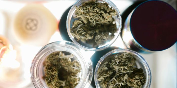 Study Links Improved Sleep to Cannabis-based Product Use