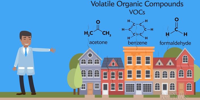 Choose a Variety of House Plants to Clear Air Pollution