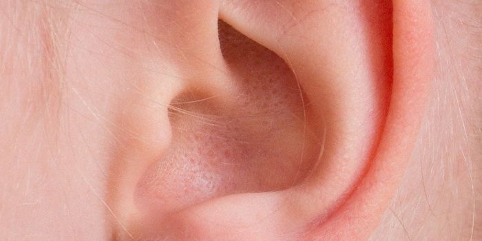 Novel Approach Developed for Ear Replacement Surgery