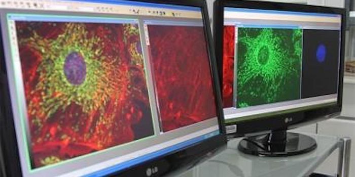 How a Genetically-modified Virus can Combat Prostate Cancer