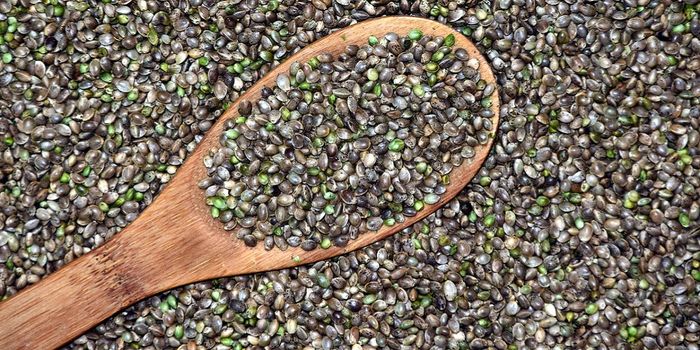 Hemp 10 Years from Now