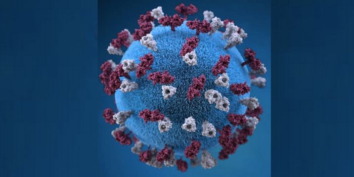 How Measles Can Lead to a Fatal Brain Disorder