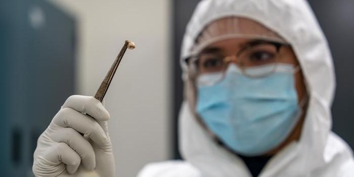 How One Gene Helped Plague Persistently Cause Pandemics