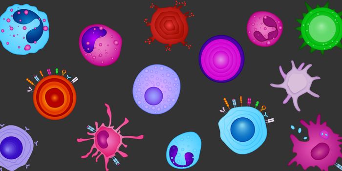 Definitive Phenotypes in Flow Cytometry