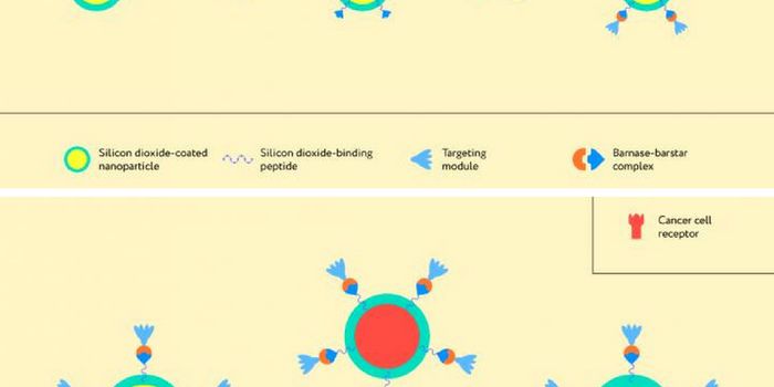 Nanoparticles Deliver "Theranostics" for Cancer Patients