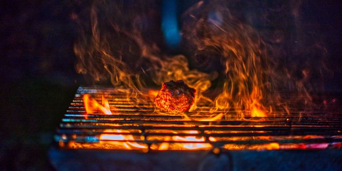 How a BBQ Lighter Inspired a New Vaccine Technology