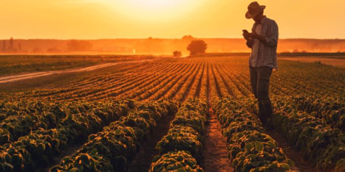 Re-thinking 'in-house' targeted GBS testing strategies can save time & money