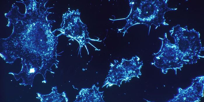 Cancer Drug Target Could Actually Worsen Disease