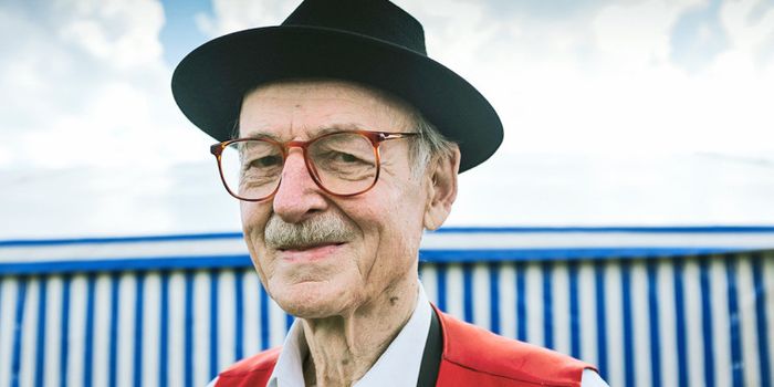 Could the brain's immune system fight Alzheimer's?