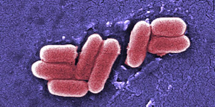 The Oncomicrobiome - Linking Microbes and Cancer