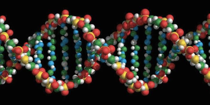 An Improved Reference Genome for Better Research