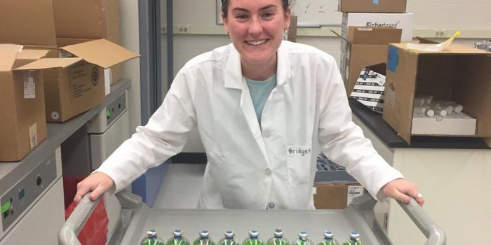 In a Blow to Enzyme Latch Theory, Soil Microbes Break Down Polyphenols