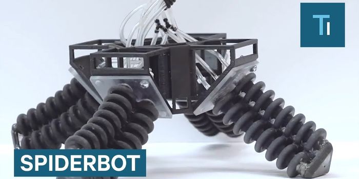 Meet the Spider Bot that Can Walk Over Almost Anything