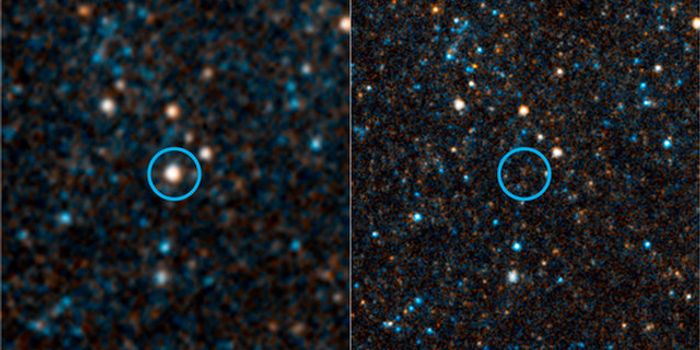 Our First Glimpse At a Failed Supernova?