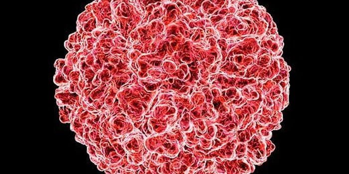 A Cure for The Common Cold?