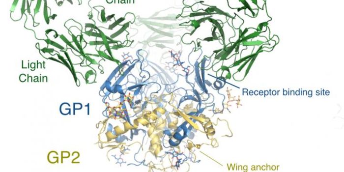 New Treatment on the Horizon for Marburg Virus
