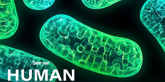 The Intriguing Genome of Mitochondria