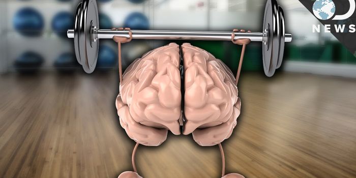 How Physical Exercise Enhances Learning and Memory