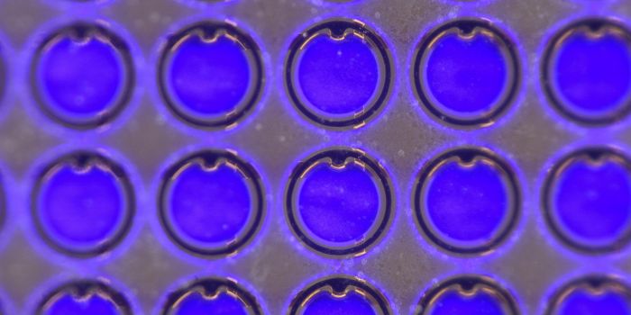 Lights, Electrodes, Surgery: Real-Time Recordings in Brain Surgery