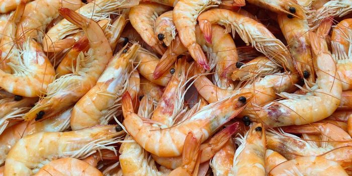 An Eye Disease Transmitted by Seafood Seems to be Emerging
