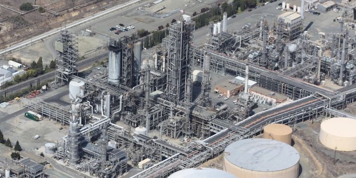 Lead Exposure Can Lead to Epigenetic Changes