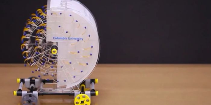 Harnessing the Power of Humidity to Create Motion