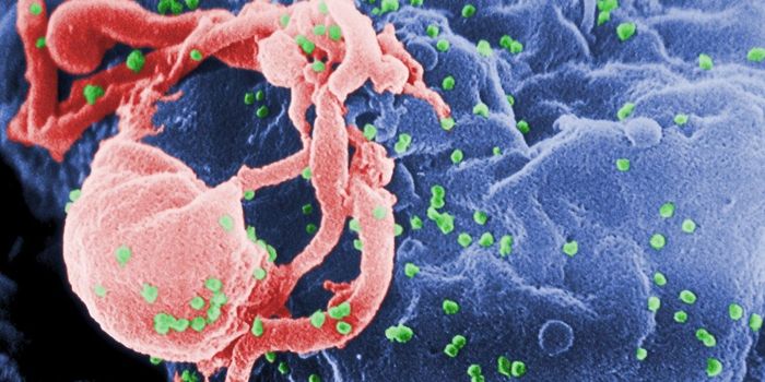 Playing Hide and Seek with Latent HIV