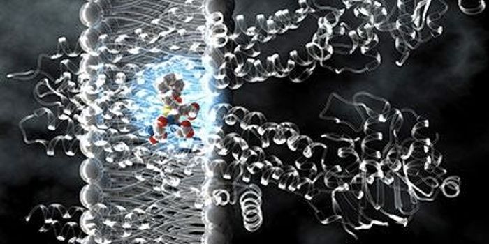 Structural Study of Multidrug Resistant Pump Sheds Light on Mechanism