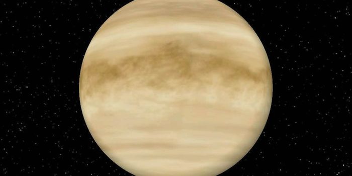 Venus Probably Had Habitable Conditions At One Time or Another
